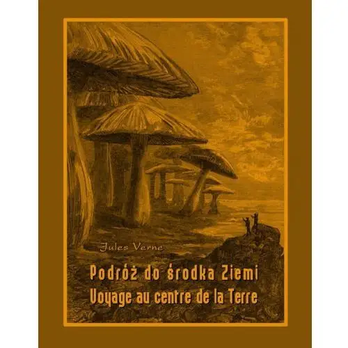 Podróż do środka ziemi. voyage au centre de la terre