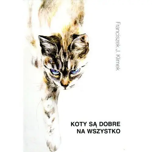 Koty są dobre na wszystko