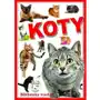 Arti Koty. biblioteka wiedzy Sklep on-line