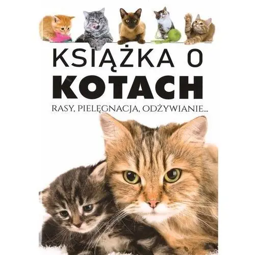 Arti Książka o kotach. rasy, pielęgnacja, odżywianie