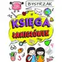 Księga łamigłówek - bystrzak Sklep on-line