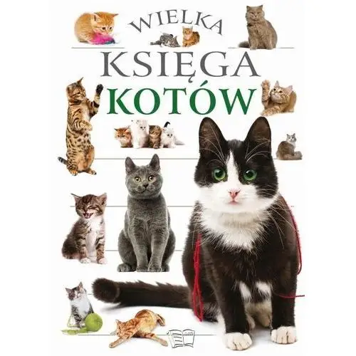 Wielka księga kotów Arti