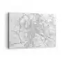 Arttor Obraz na płótnie 100x70 cm - rzymski krąg - miasto, mapa miasta, rzym, grafika, włochy, do salonu, do sypialni, biały, czarny, poziomy, płótno Sklep on-line