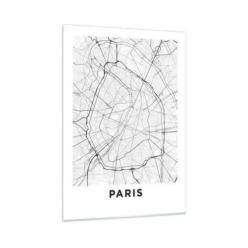 Obraz na szkle 50x70 cm - kwiat paryża - miasto, mapa miasta, paryż, grafika, francja, do salonu, do sypialni, biały, czarny, pionowy, szkło, Arttor