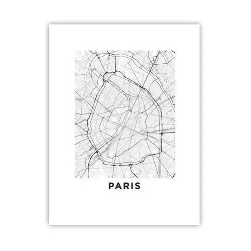 Plakat 30x40 cm - kwiat paryża - miasto, mapa miasta, paryż, grafika, francja, do salonu, do sypialni, biały, czarny, pionowy, p2xpa30x40-4868 Arttor
