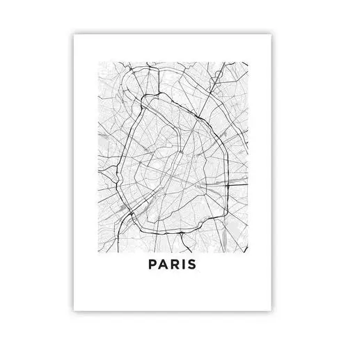 Plakat 50x70 cm - kwiat paryża - miasto, mapa miasta, paryż, grafika, francja, do salonu, do sypialni, biały, czarny, pionowy, p2xpa50x70-4868 Arttor