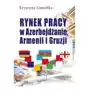 Rynek pracy w azerbejdżanie, armenii i gruzji Sklep on-line