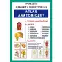 Atlas anatomiczny Sklep on-line