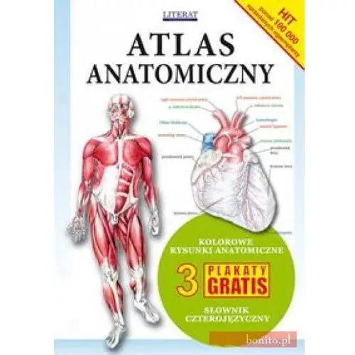 Atlas anatomiczny