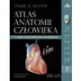 Atlas anatomii człowieka Sklep on-line