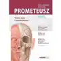 Atlas anatomii człowieka. Głowa, szyja i neuroanatomia. Mianownictwo łacińskie i polskie. Prometeusz. Tom 3 Sklep on-line