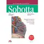 Atlas anatomii człowieka Sobotta. Angielskie mianownictwo. Tom 2 Sklep on-line