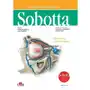 Atlas anatomii człowieka Sobotta. Angielskie mianownictwo. Tom 3 Sklep on-line