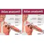 Atlas Anatomii Gilroy Tom 1 i Tom 2 Sklep on-line