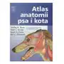 Atlas anatomii psa i kota Sklep on-line