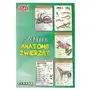 Atlas anatomii zwierząt Sklep on-line