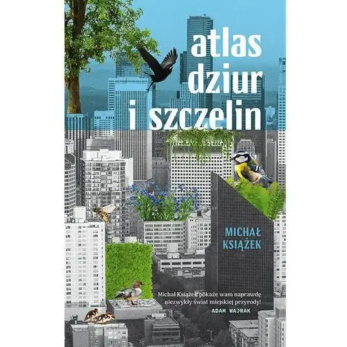 Atlas dziur i szczelin