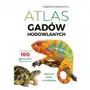 Atlas gadów hodowlanych. 100 gatunków. Jaszczurki, żółwie, krokodylowe Sklep on-line