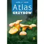 Atlas grzybów Sklep on-line