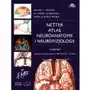 Atlas neuroanatomii i neurofizjologii Nettera Sklep on-line