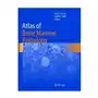 Atlas of bone marrow pathology Springer-verlag new york inc Sklep on-line