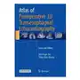 Atlas of perioperative 3d transesophageal echocardiography Springer verlag, singapore Sklep on-line