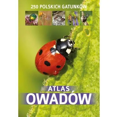 Atlas owadów