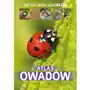 Atlas owadów Sklep on-line