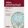 Atlas patofizjologii Sklep on-line