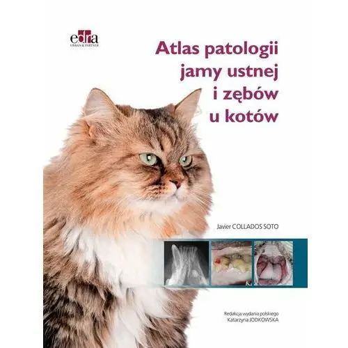 Atlas patologii jamy ustnej i zębów u kotów