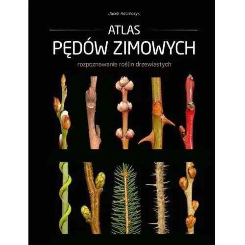 Atlas pędów zimowych