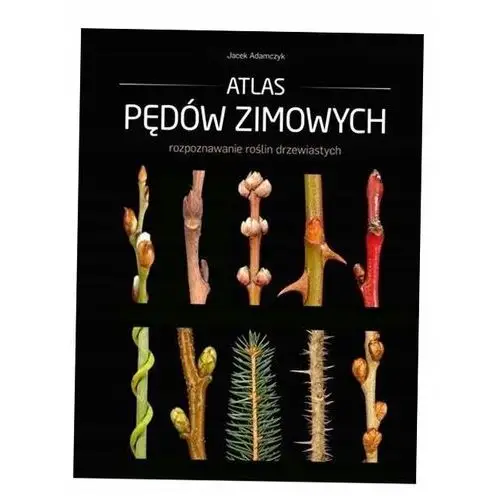 Atlas Pędów Zimowych, Jacek Adamczyk