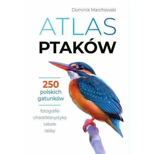 Atlas ptaków