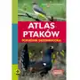 Atlas ptaków. Poradnik obserwatora Sklep on-line