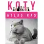 Atlas ras. Koty Sklep on-line