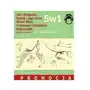 5w1 Bajki Braci GRIMM Audiobook - Ewa Błaszczyk - książka Sklep on-line