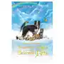 How to recognize heavenly signs from our beloved pets Authorhouse Sklep on-line