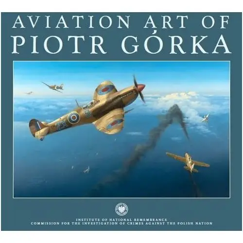 Aviation art of Piotr Górka