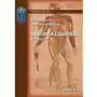 Anatomia człowieka - kompendium, AZ#872FE5F4EB/DL-ebwm/pdf Sklep on-line