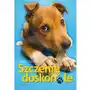 Bailey gwen Szczenię doskonałe Sklep on-line