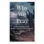 Why We Pray: Understanding Prayer in the Context of Cosmic Conflict Sklep on-line