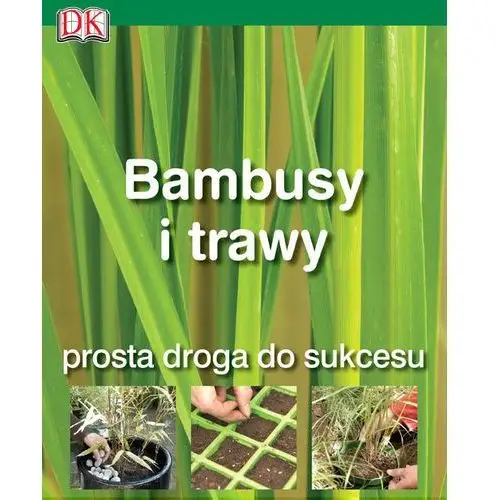 Bambusy i trawy Prosta droga do sukcesu