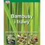 Bambusy i trawy Prosta droga do sukcesu Sklep on-line