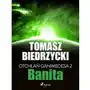 Banita. Otchłań Ganimedesa. Tom 2 Sklep on-line