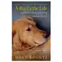 Bantam dell pub group A big little life Sklep on-line