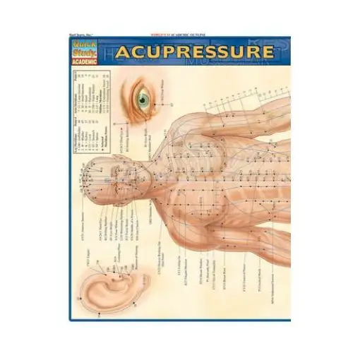 Acupressure laminate reference chart Bar charts inc (fl)