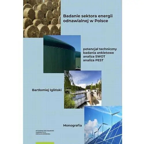 Badanie sektora energii odnawialnej w Polsce - potencjał techniczny, badania ankietowe, analiza SWOT, analiza PEST