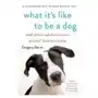 Basic books What it's like to be a dog Sklep on-line