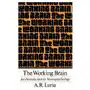 Working brain Basic books Sklep on-line