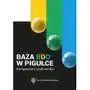 Baza BDO w pigułce. Kompendium użytkownika Sklep on-line